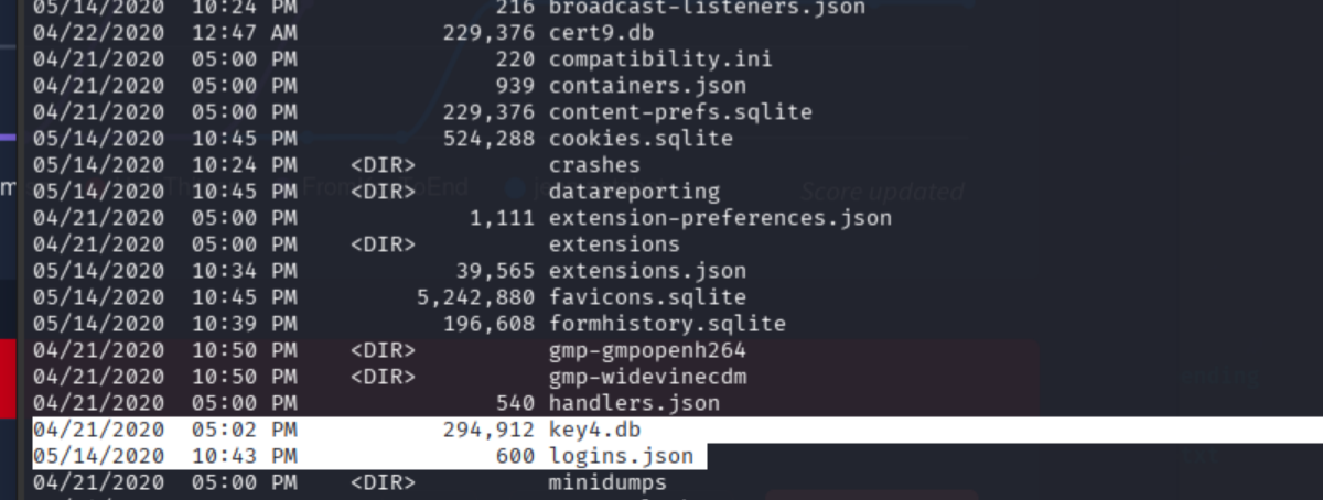 Firefox profile directory contents showing logins.json, key4.db, and cert9.db